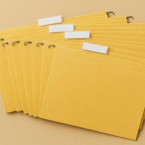 Quick Access Tab File Folders Bulk